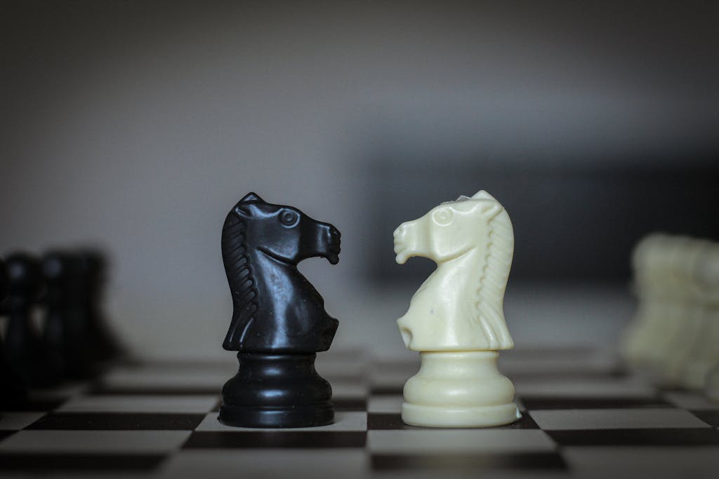 Closeup of black and white figures of knight placed on chessboard at sunlight